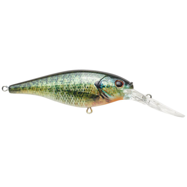6 Type-R Glidebait Goldenberry Shad – Northwoods Lures